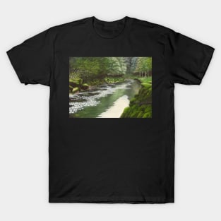 Exit The Strid T-Shirt